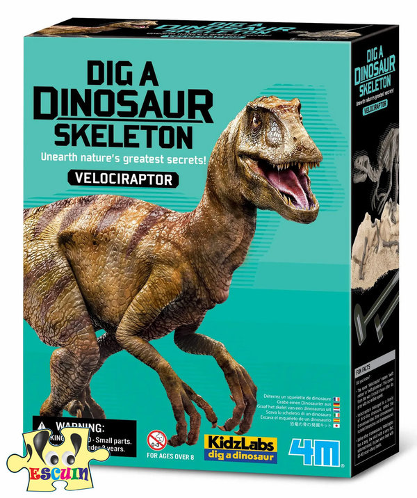 Excavar y Montar Dino Velociraptor 4M