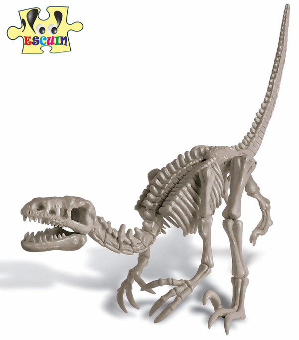 Excavar y Montar Dino Velociraptor 4M