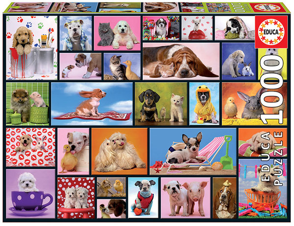 Puzzle 1000 Piezas Animales Momentos Compartidos Educa